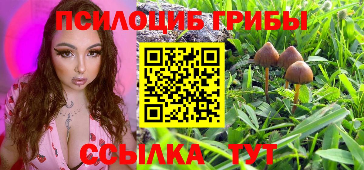 Псилоцибиновые грибы Magic Shrooms  Галлюциногенные грибы GOLDEN TEACHER  Ухта  Вход с VPN 